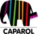 caparol logo